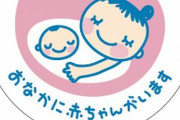 【胸糞】男子学生が妊婦と間違えて、ただのふくよかな女性に席を譲ってしまった結果・・・ うわぁあああああ