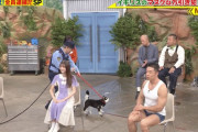 【gif】菅原咲月ちゃん、めちゃ良いリアクションするなぁｗ【乃木坂46】