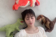 【日向坂46】恐竜達と眠る美少女は誰・・・？？？