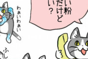 【話題】テラの住人は現場猫並みの脳味噌してるよな