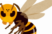 オオスズメバチとかいう最強の昆虫