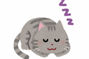 【感動】猫の『いびき』ワロタｗｗｗｗｗｗ