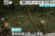 【悲報】「撮り鉄」の人気スポットで 私有地の木 何者かに切り倒される