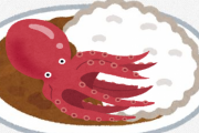 カレーにタコ入れた結果・・・・・・