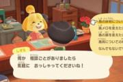 【あつまれどうぶつの森】島の評価がなかなか上がらない…　星3になってほしい…