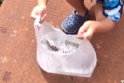 【動画】心優しき少年、ブラックバスさんを自然にリリースしてあげる