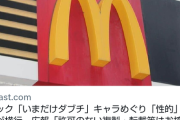 【悲報】マクドナルド「いまだけダブチ食べ美のイメ損やめてくれるか？😡」→オタク逆ギレｗｗｗｗｗｗｗｗｗｗ