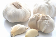 ニンニク「旨いです。栄養満点です。あらゆる料理をワンランク引き上げます」こいつが天下とれない理由