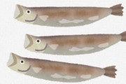 おんJ民さん「この魚をなんと呼ぶかで年収が分かる（画像）」