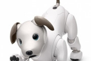 【画像】サムソンのデザインしたロボット犬が怖すぎるwwwwwwwwwwwww