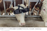トルコの酪農家が「ウシにVRを装着」して1頭あたりミルク５Lの増産に成功