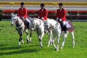 【競馬】JRAは炎のウィナーという名曲を復活させるべき