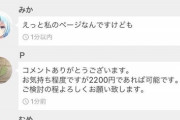 【悲報】メルカリさん、他人の出品物を勝手に値下げするヤバいやつが現れる