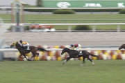 【競馬】ヴァナヘイムまで駄馬で今年の2才牡馬はだれが強いんだよ