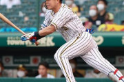 【阪神】糸原が自己最長を更新する８試合連続安打！！