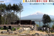 河口湖で樹木を無断伐採した中国人「今年、娘は日本の大学を受験します。私も家族も日本国籍を取得したい。今回のことで影響がないようにしたい」