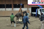 【競馬】現役競走馬レイズアスピリット、餓死寸前　大雪で身動きとれず…現役の競走馬“瀕死”