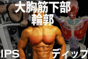 【画像】ディップスばっかやってると胸筋垂れる言う奴ｗｗｗ