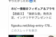 藤田ニコルさん、強欲な壺発売についてツイートｗｗｗｗｗ