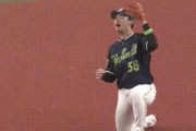 【GIF】ヤクルト長岡の超絶守備wwwwww