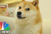 イーロン・マスク氏、ツイッター公式アイコンを「日本犬」に変更…関連する暗号通貨が一時急騰[海外の反応]