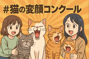 日本の「#猫の変顔コンクール」が面白いｗｗｗ【タイ人の反応】