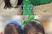 りこりこ「私もツッコミやりたい」