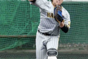 阪神梅野隆太郎、キャンプ序盤から右肩の違和感を抱えていた「今無理するよりも」矢野監督が説明