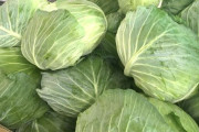 【悲報】 キャベツ、めっちゃ高い