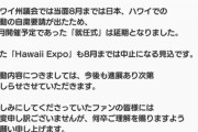 【悲報】松井珠理奈さん、ハワイ州議会の自粛要請でハワイなんちゃら大使の期間が一ヶ月間くらいになる模様ｗｗｗ