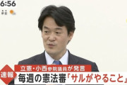 立憲民主党・小西参院議員「衆議院の憲法審査会はサルがやることだ」「蛮族の行為、野蛮だ」サル呼ばわりして大炎上中　#小西ひろゆき議員の辞職を求めます　トレンド入り