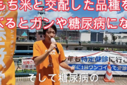 【正論】参政党「コシヒカリを食べるとガンや糖尿病になるんです！」