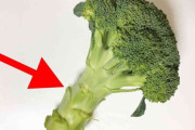 【必見！】ブロッコリーの茎、ベロっとむける最強の方法とは・・・！？（画像あり）