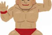 なんJ民「プロレスラーってやらせだし弱そうだよなー」ワイ「君、ちょっと一緒に来てくれ^^」