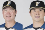 【公示】日ハムが渡邉を1軍登録　生田目が登録抹消