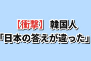 【衝撃】韓国人「日本のオタクに“ワンナルブリ”の話をしたら…」