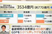 中国がこない春節の日本の損失、４８５億円にのぼると判明