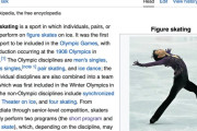 @ wikiの『フィギュアスケート』 のメインページに羽生君の写真が採用されている （73言語に訳されている）