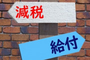 【政治/経済】竹中平蔵氏「消費減税は無意味！　これでは『失われた30年』が再び日本を襲う　外国人を受け入れ、無駄な年金を減らしなさい」