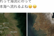 中国と韓国から茶色いのが流れてると判明（画像あり）