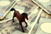 【競馬】「亀田大毅」が有馬記念で3連単的中！WIN5とのダブル的中で『520万円強』の高額払い戻しｗｗｗｗｗｗ