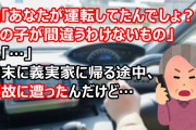 姑「あなたが運転してたんでしょ？あの子が間違うわけないもの」私「…」年末に義実家に帰る途中、事故に遭った。その対応で義実家詣でどころではなかったんだけど…