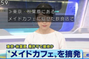 【悲報】秋葉原のメイドカフェ摘発→客引きが全滅