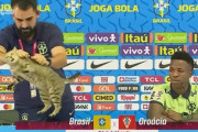 英紙「猫を残酷に…」会見中のハプニングでブラジル広報に批判の声「W杯で優勝しないことを願う」