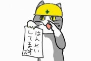 上司「そんな事いちいち聞かなくてもいいから」彡(^)(^)「おかのした」→