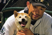 【海外の反応】イチローが愛犬の名前をマスコミに明かさなかった理由【MLB】