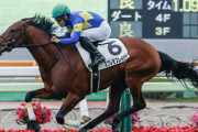 【競馬予想】第54回函館2歳ステークス(GIII) /2022