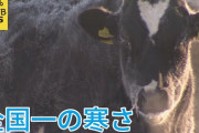 【愕然】北海道のマイナス27℃の世界  やばい・・・