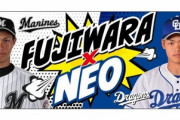 明日練習試合！ロッテ中日ファン集合（先発 二木×柳)