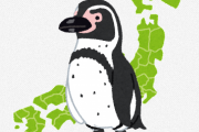 何でペンギンって日本に住まないの？